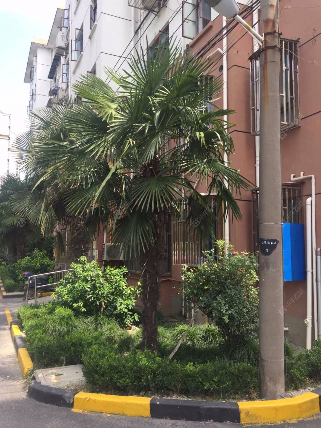 上海江桥三村九街坊小区_江桥三村九街坊小区null