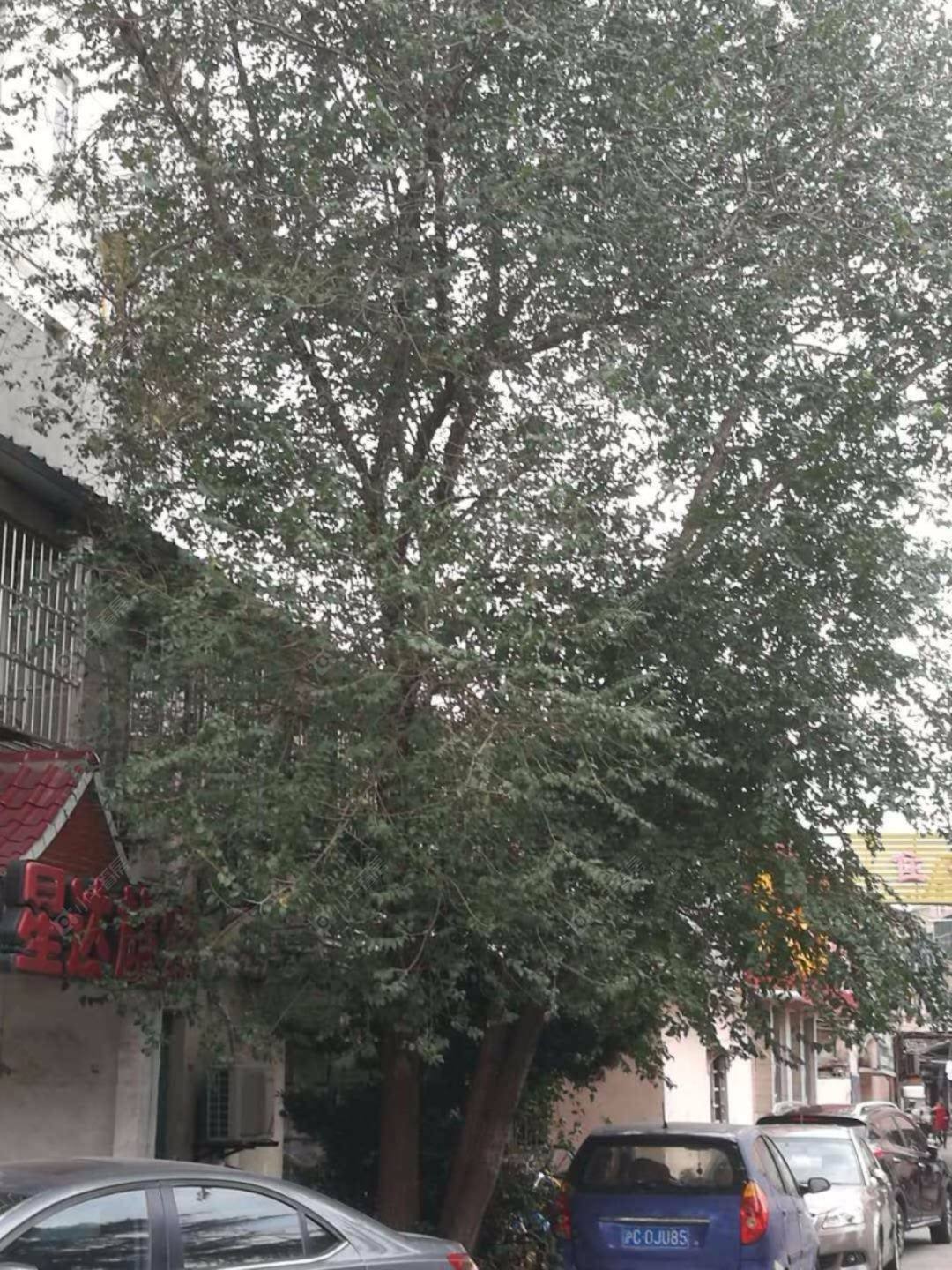 上海堆栈公寓小区_堆栈公寓小区null