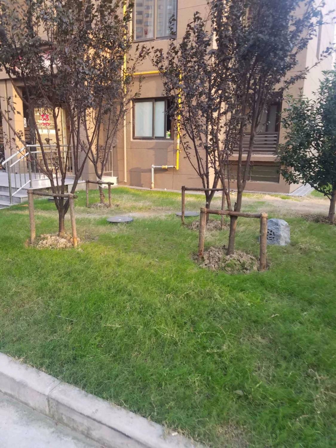 上海练祁佳城盛蔷坊小区_练祁佳城盛蔷坊小区实景图