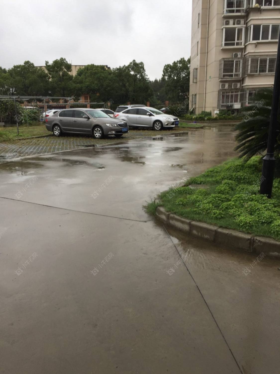 上海塘后支路55弄小区_塘后支路55弄小区null