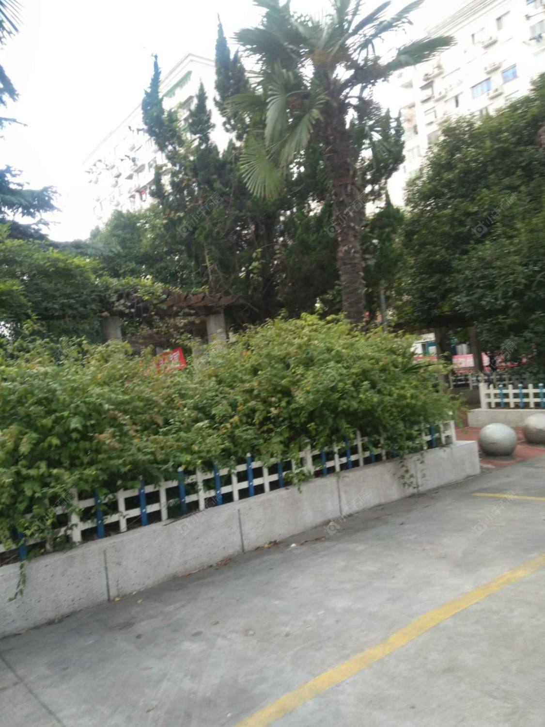 上海绿叶小区(普陀)小区_绿叶小区(普陀)小区null