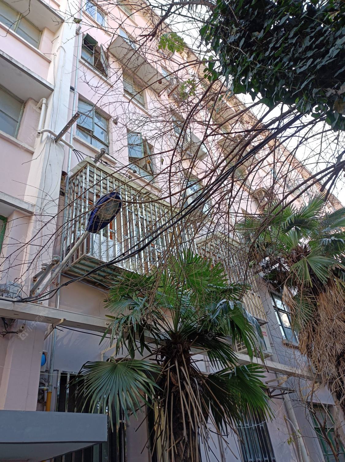 上海肇周路417号小区_肇周路417号小区null