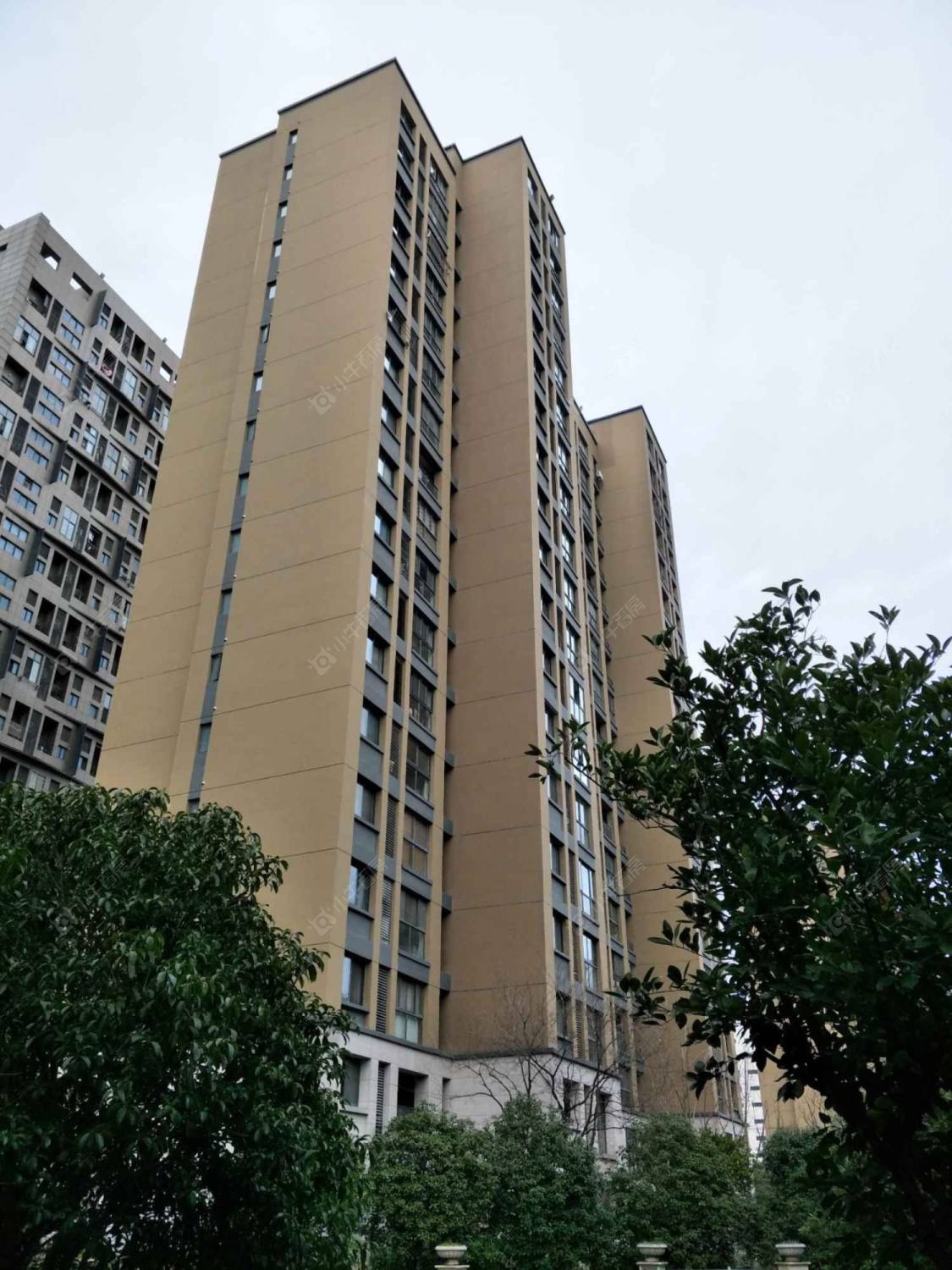 上海新城金郡一期东区小区_新城金郡一期东区小区null