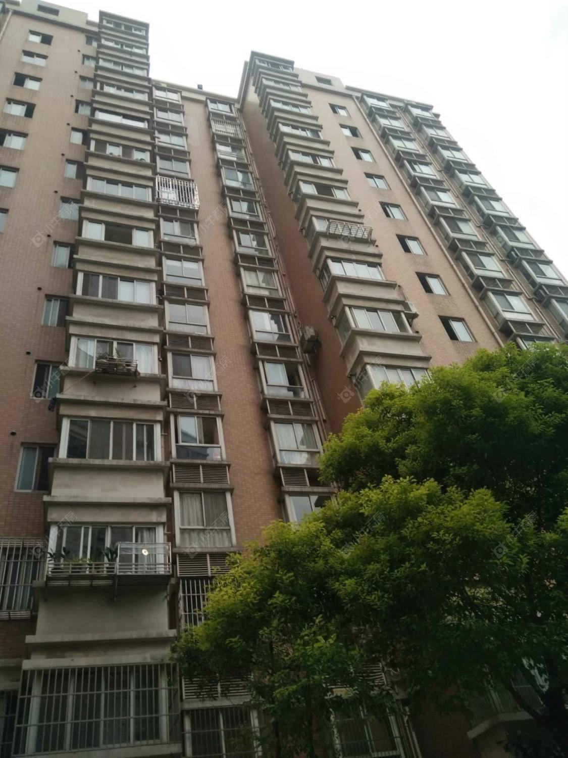 曹杨五月天封面图_小牛看房