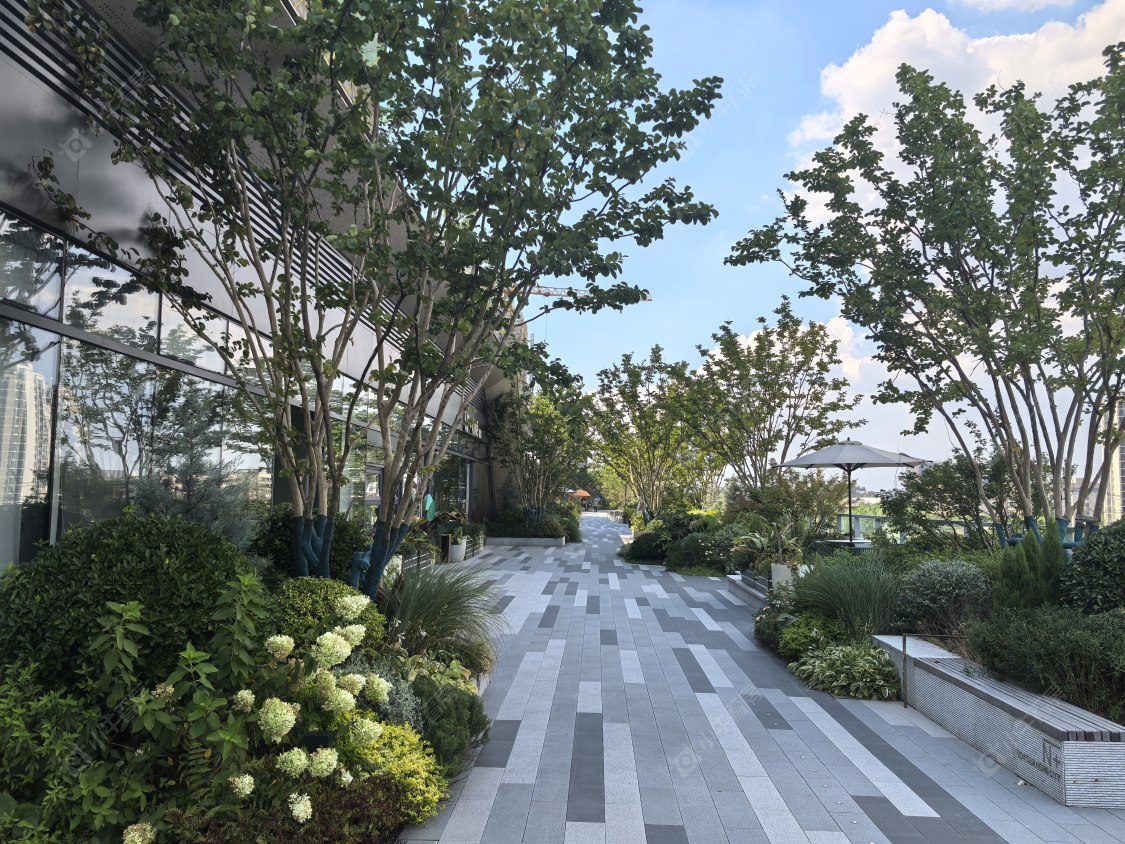 上海保利光合跃城小区_保利光合跃城小区null