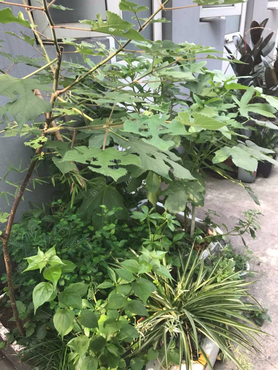 上海陕西北路660弄小区_小牛看房