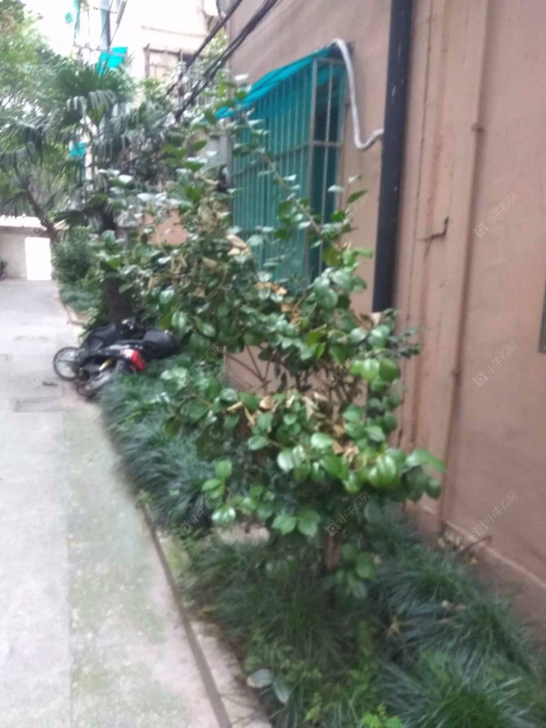 上海春江小区（静安）小区_春江小区（静安）小区null