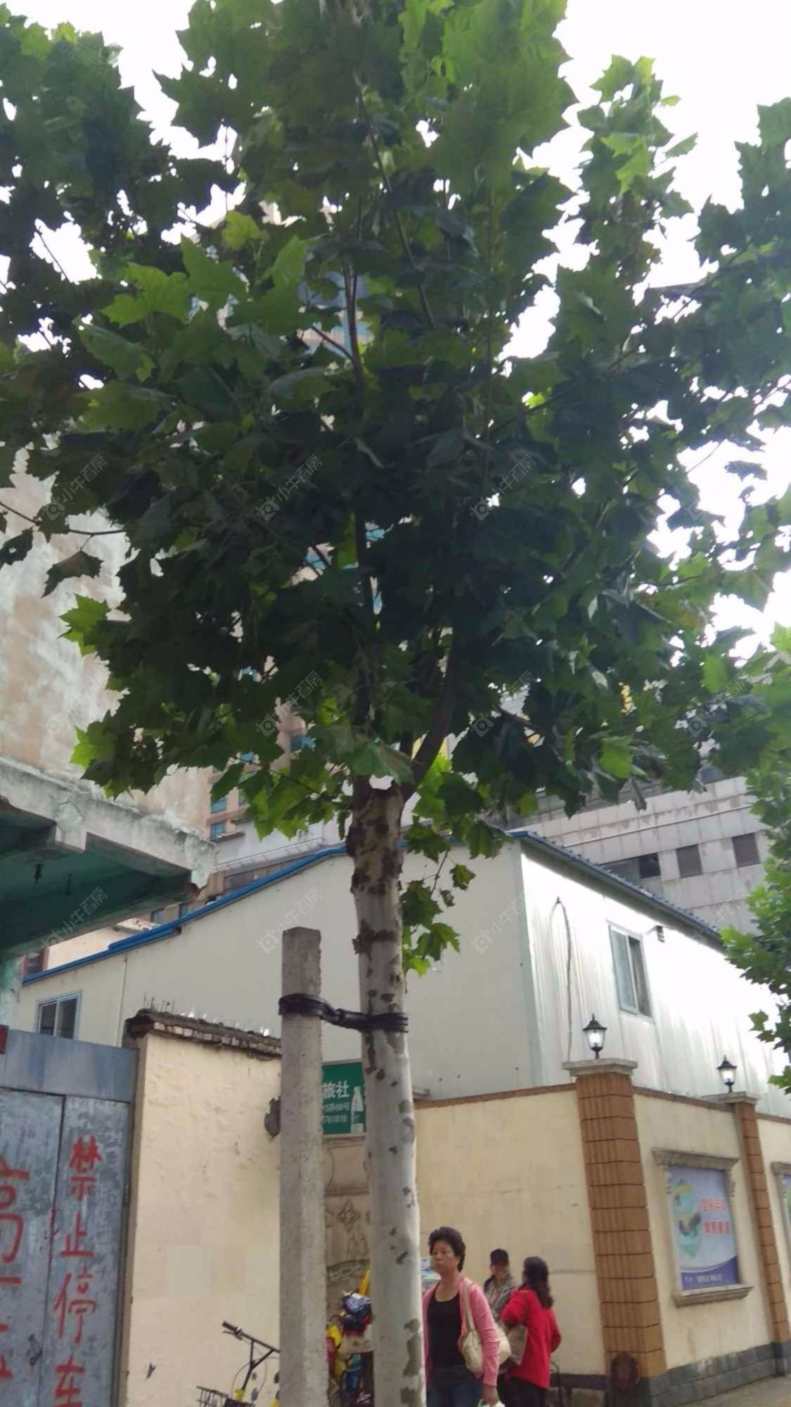 上海长寿路249弄小区_长寿路249弄小区null