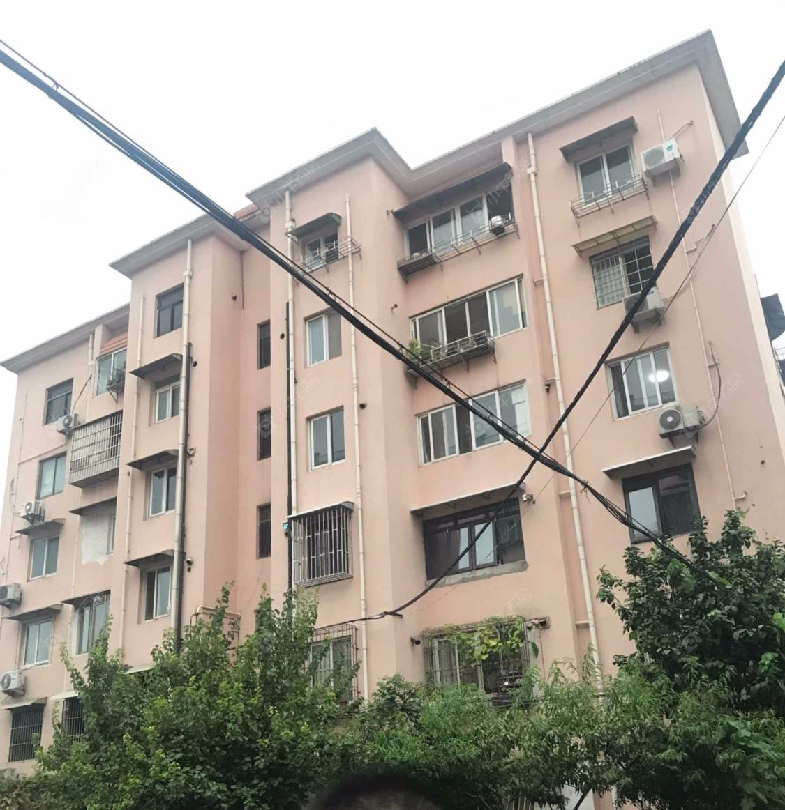 上海天山雅苑小区_天山雅苑小区null