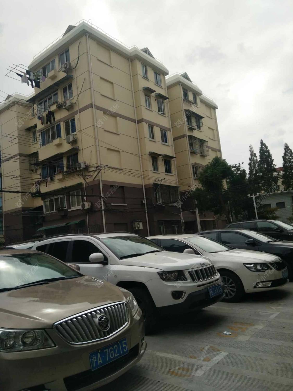 上海曹杨花苑南区小区_曹杨花苑南区小区null