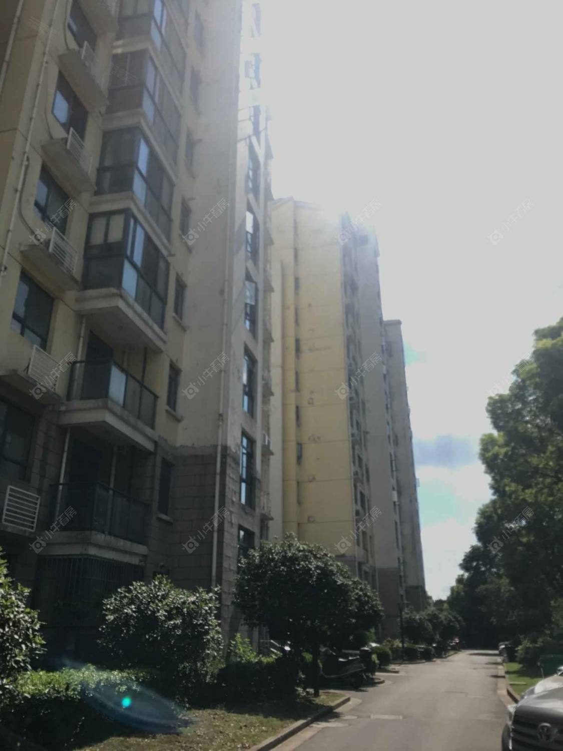 上海惠明苑小区_惠明苑小区null