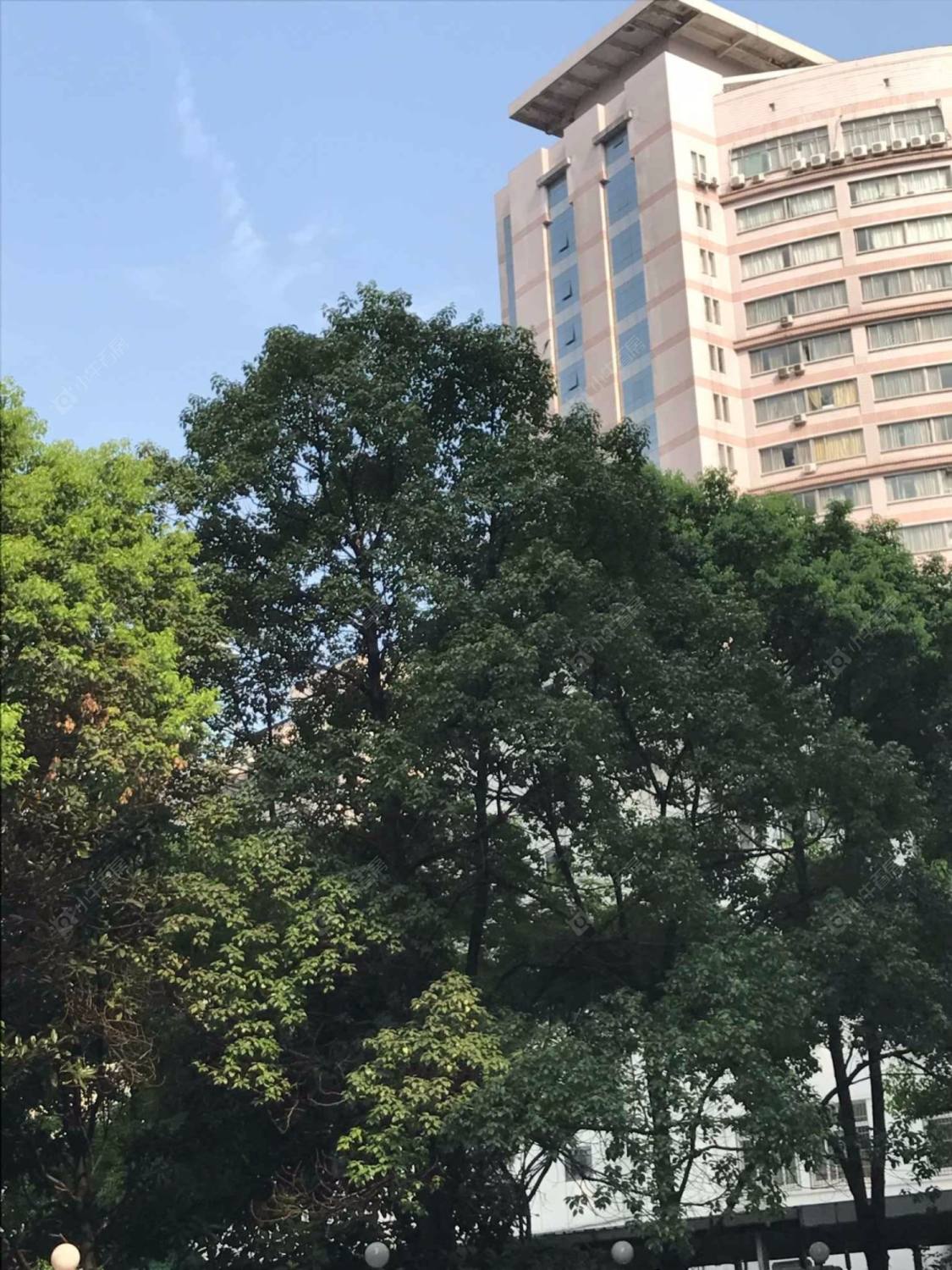 上海静安国际广场小区_小牛看房