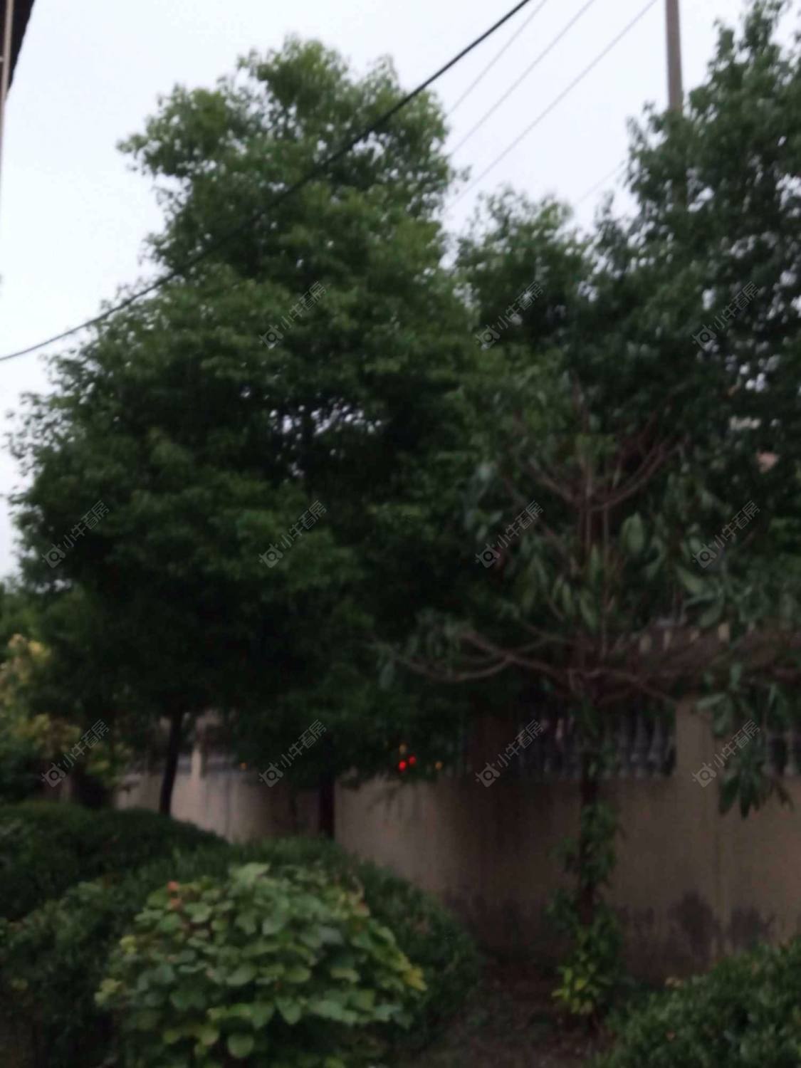 上海绿园十一村小区_小牛看房