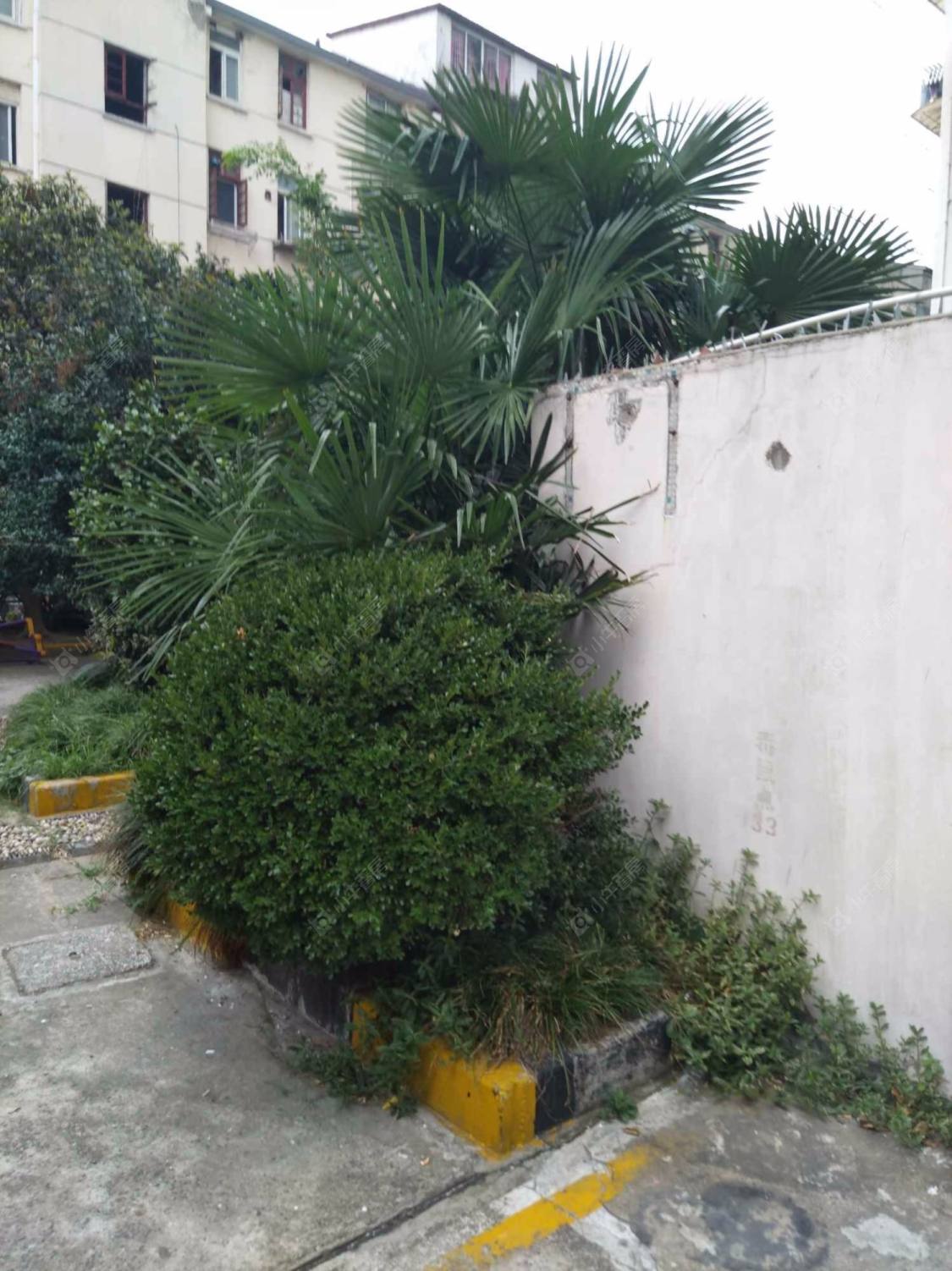 上海虹连大楼小区_虹连大楼小区null