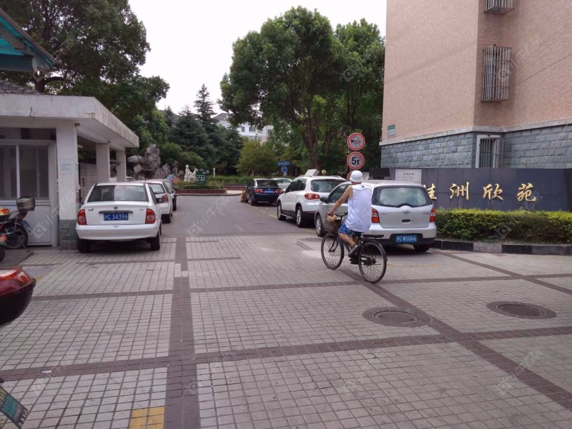 上海佳洲欣苑小区_佳洲欣苑小区null