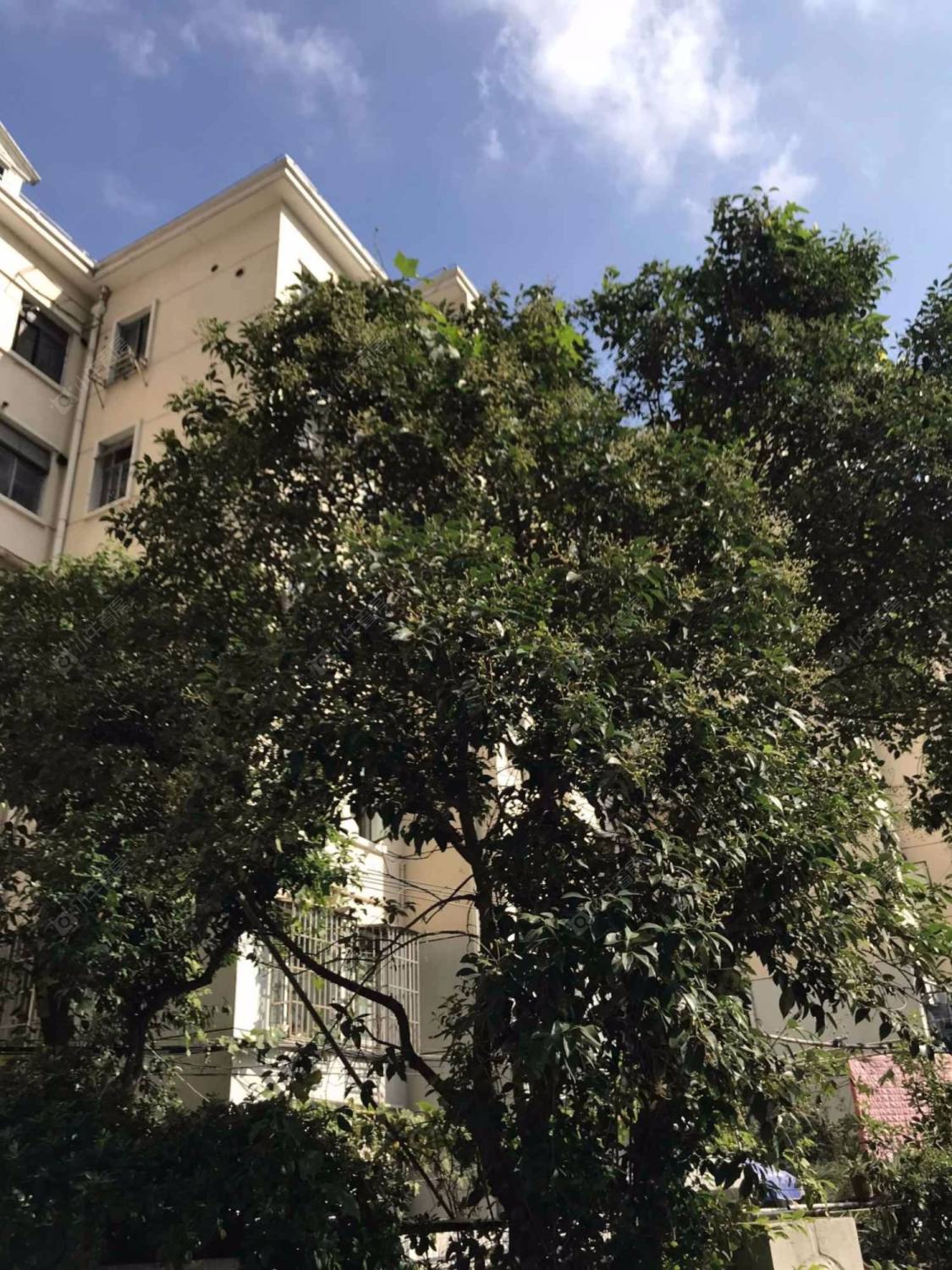 上海浦泾大楼小区_浦泾大楼小区null