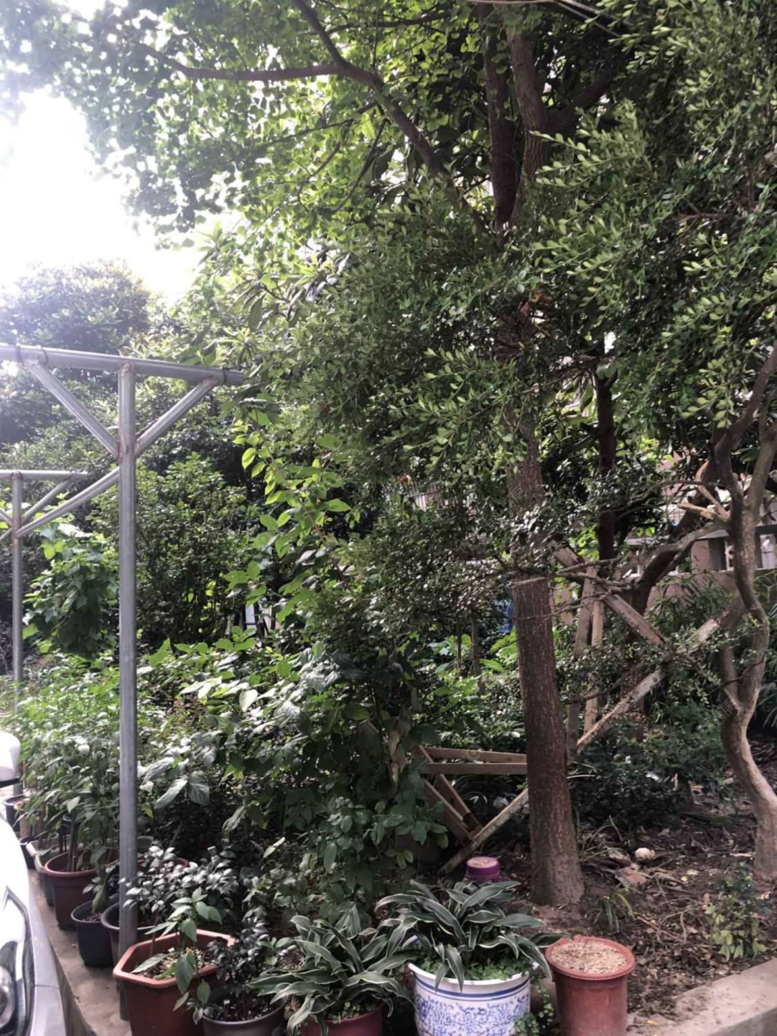 上海肇嘉浜路107弄小区_肇嘉浜路107弄小区null