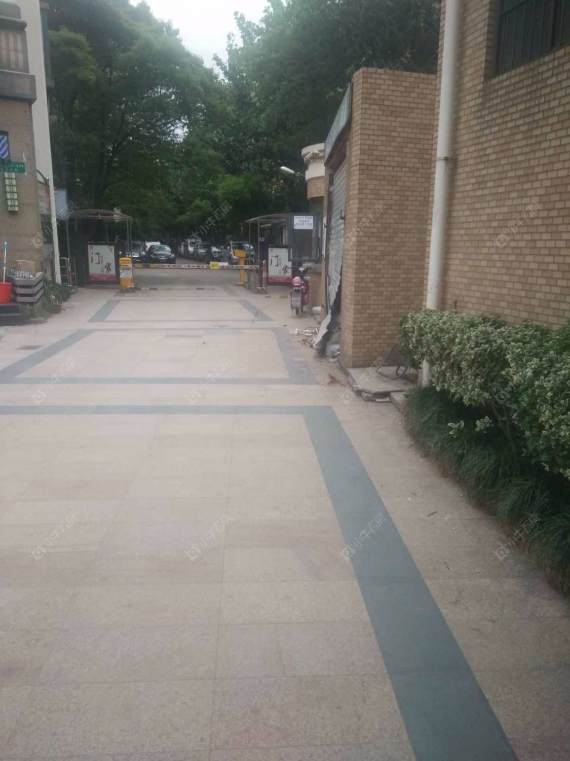 上海金沙雅苑地中海之恋小区_金沙雅苑地中海之恋小区null