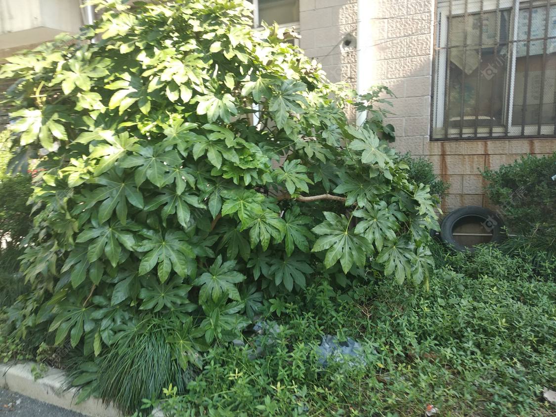 上海学前街88弄小区_学前街88弄小区null