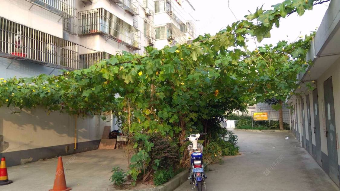 上海福汇一村小区_福汇一村小区null