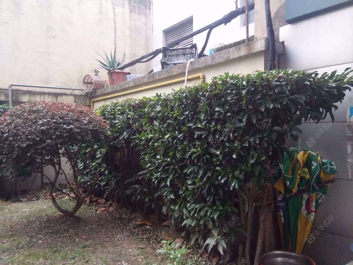 上海黄浦长春苑小区_黄浦长春苑小区null