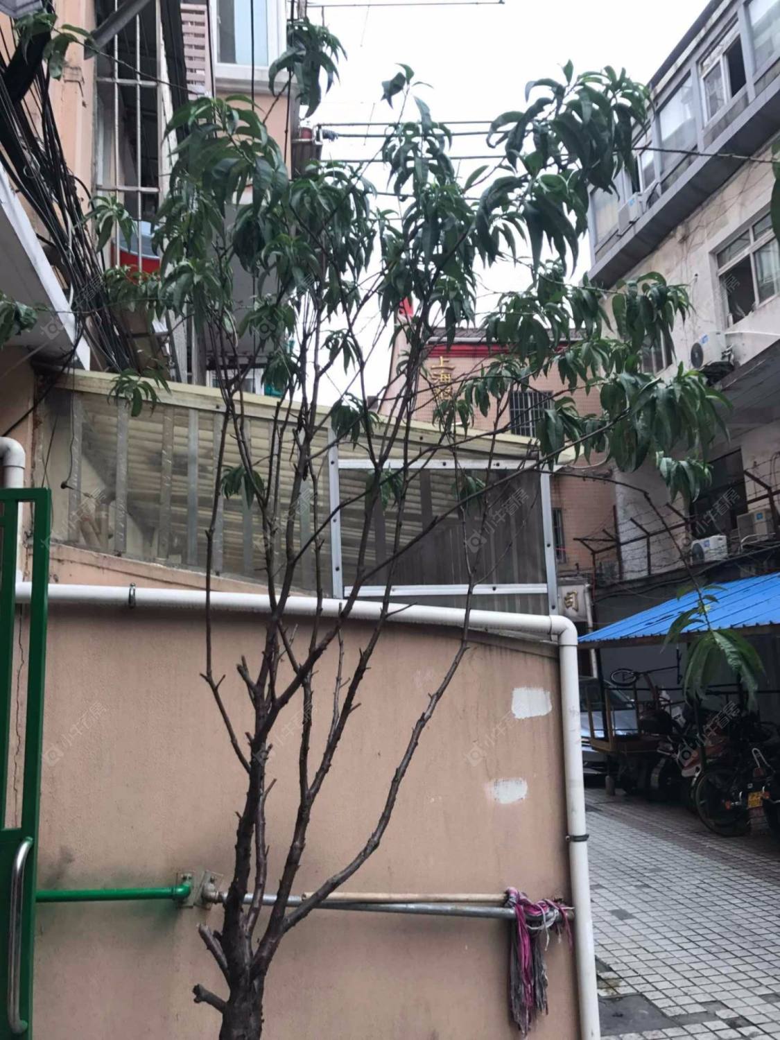 上海陕西北路729弄小区_陕西北路729弄小区null