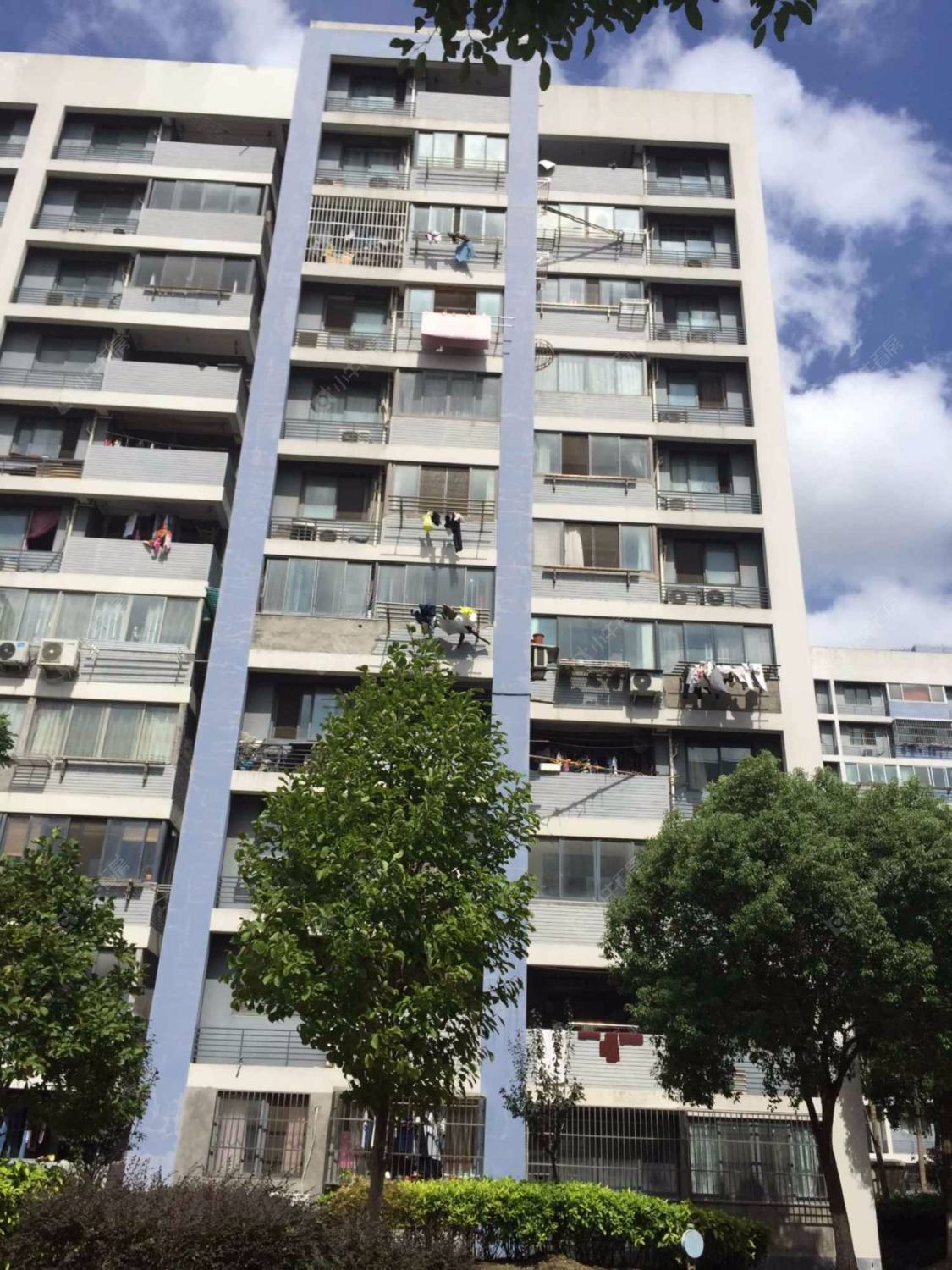 上海清风名苑小区_清风名苑小区null