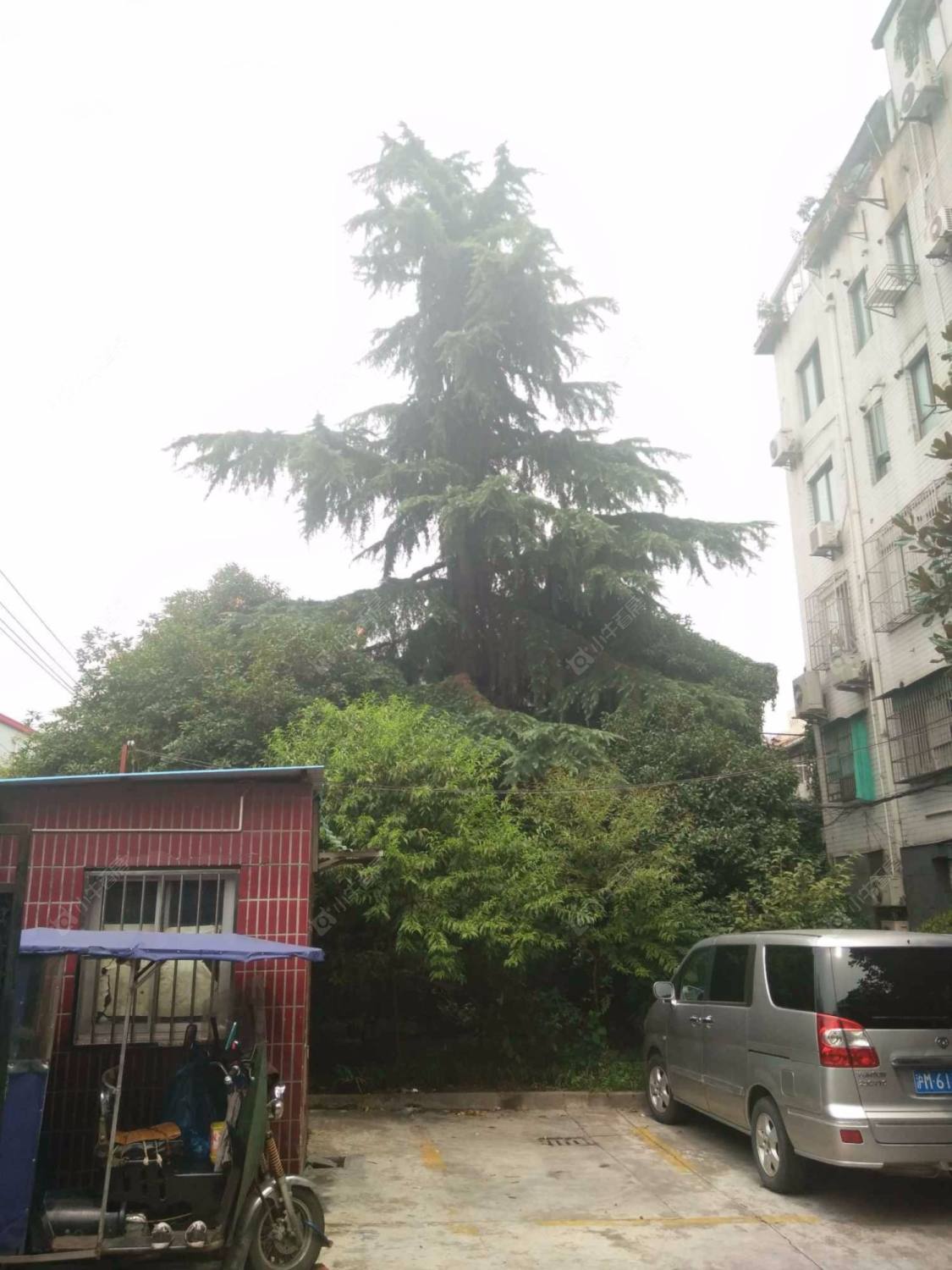 上海安国公寓小区_安国公寓小区null