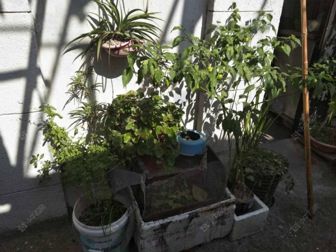 上海东宝兴路648弄小区_东宝兴路648弄小区null