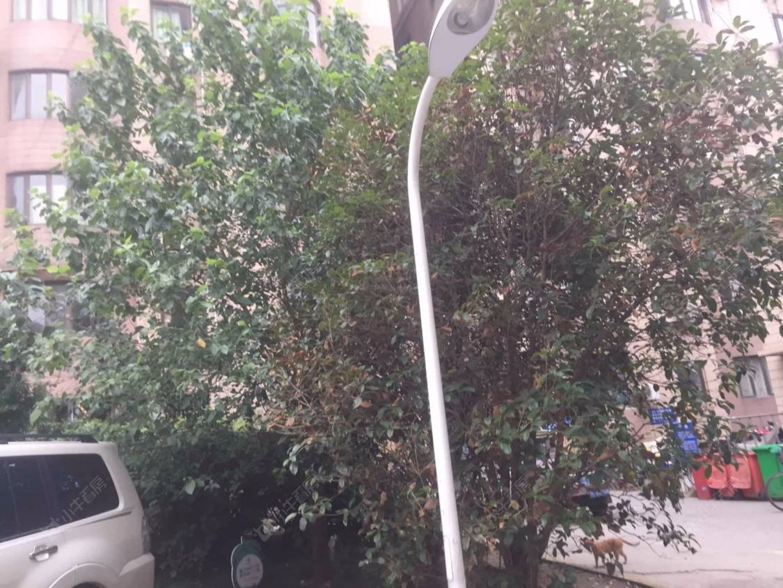 上海蝶花公寓小区_蝶花公寓小区null