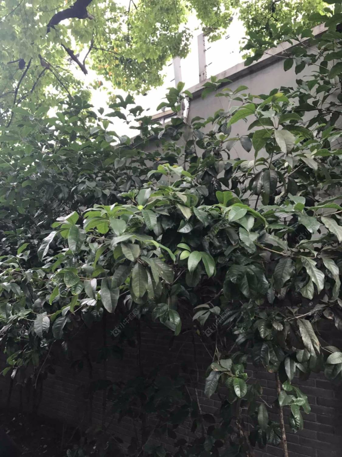 上海三元坊小区_三元坊小区实景图