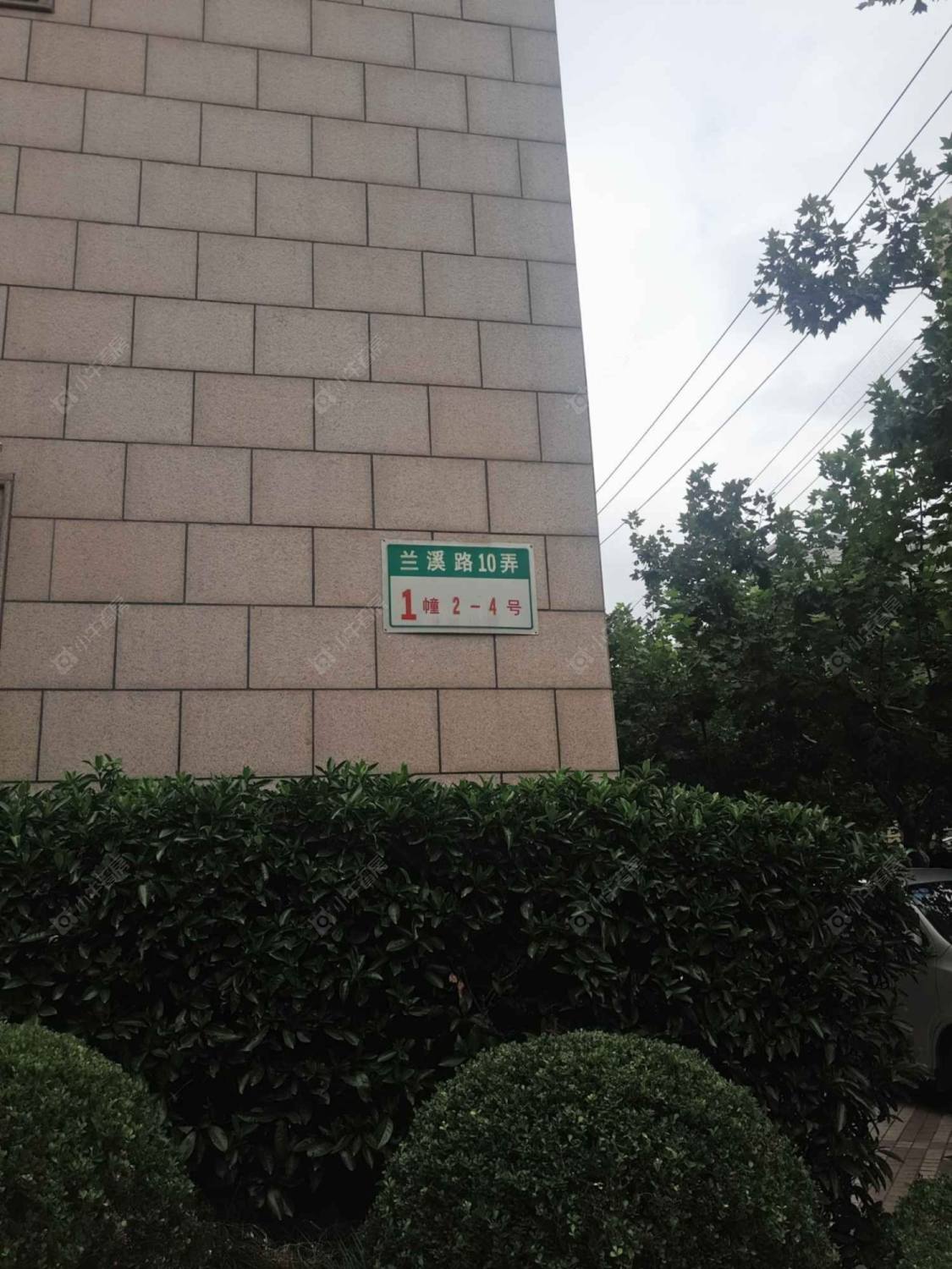 曹杨君悦苑封面图_小牛看房