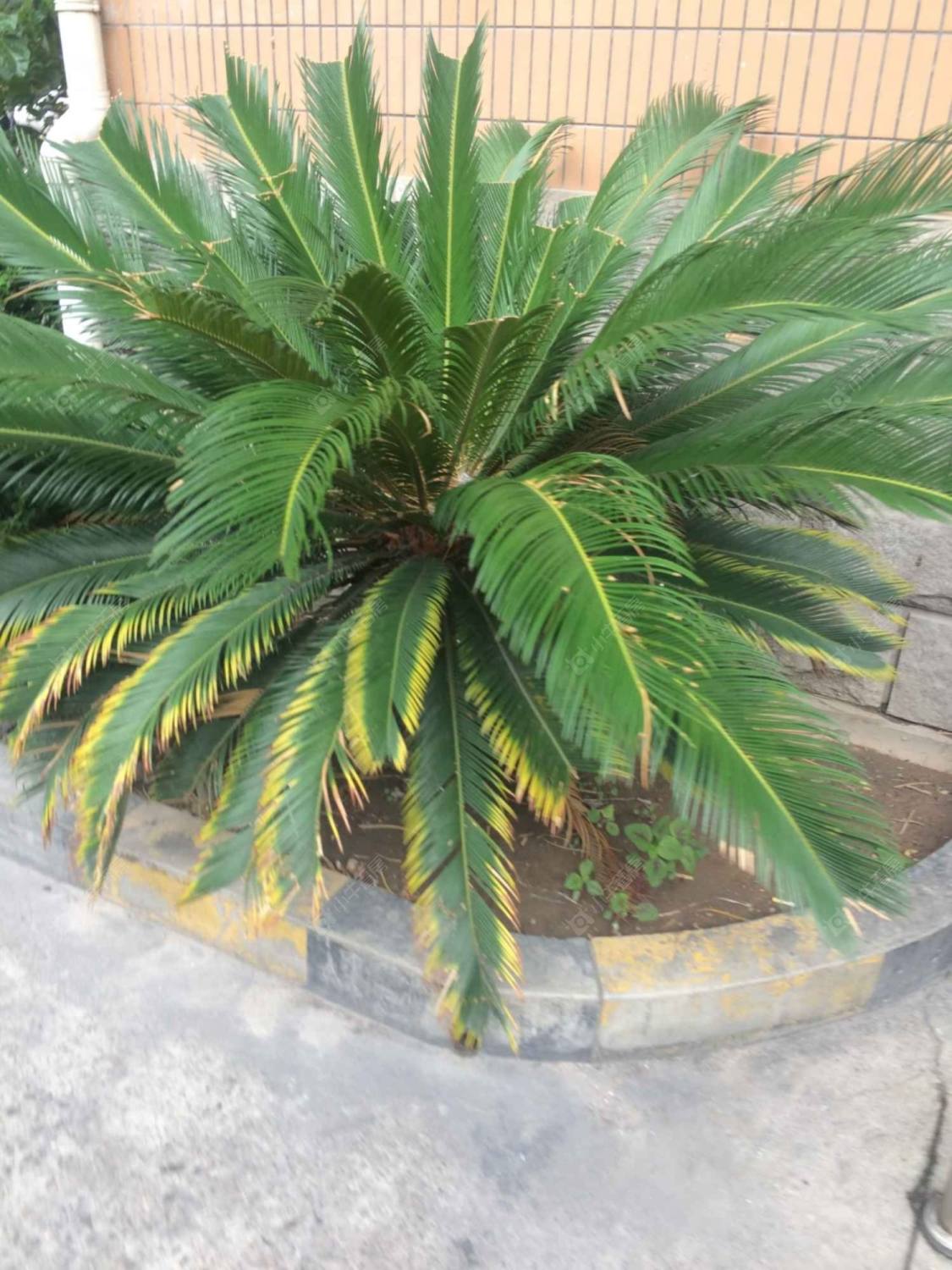 上海仁达公寓小区_仁达公寓小区实景图