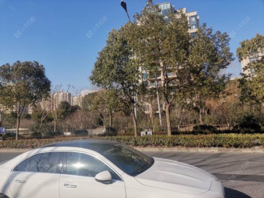 上海仁恒森兰雅苑MINI公馆小区_仁恒森兰雅苑MINI公馆小区null