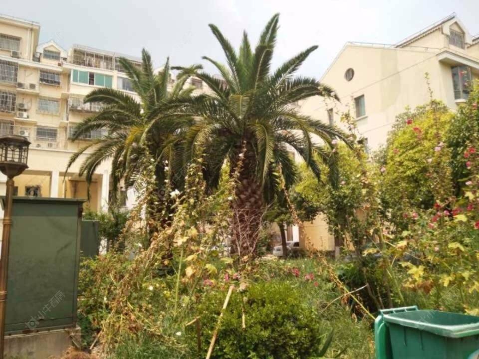 上海盛和小区小区_盛和小区小区null