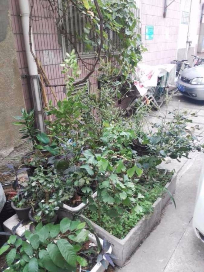 上海长浜路400弄小区_长浜路400弄小区null