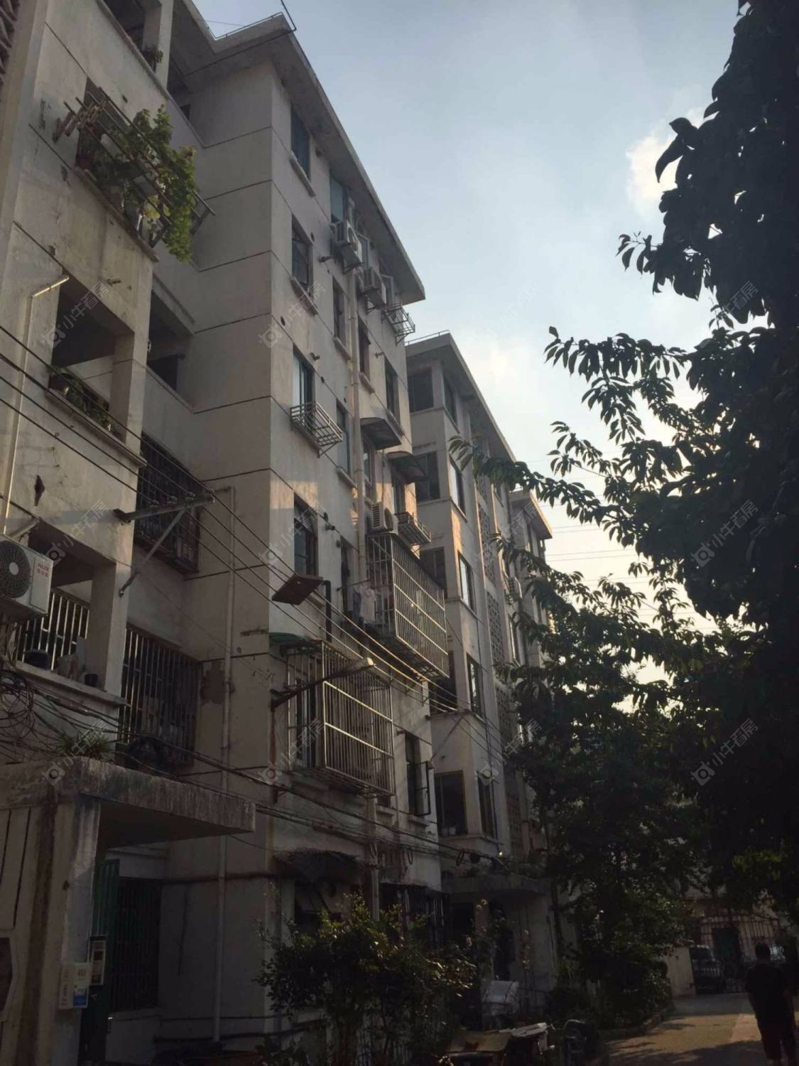 上海真如西村小区_真如西村小区null