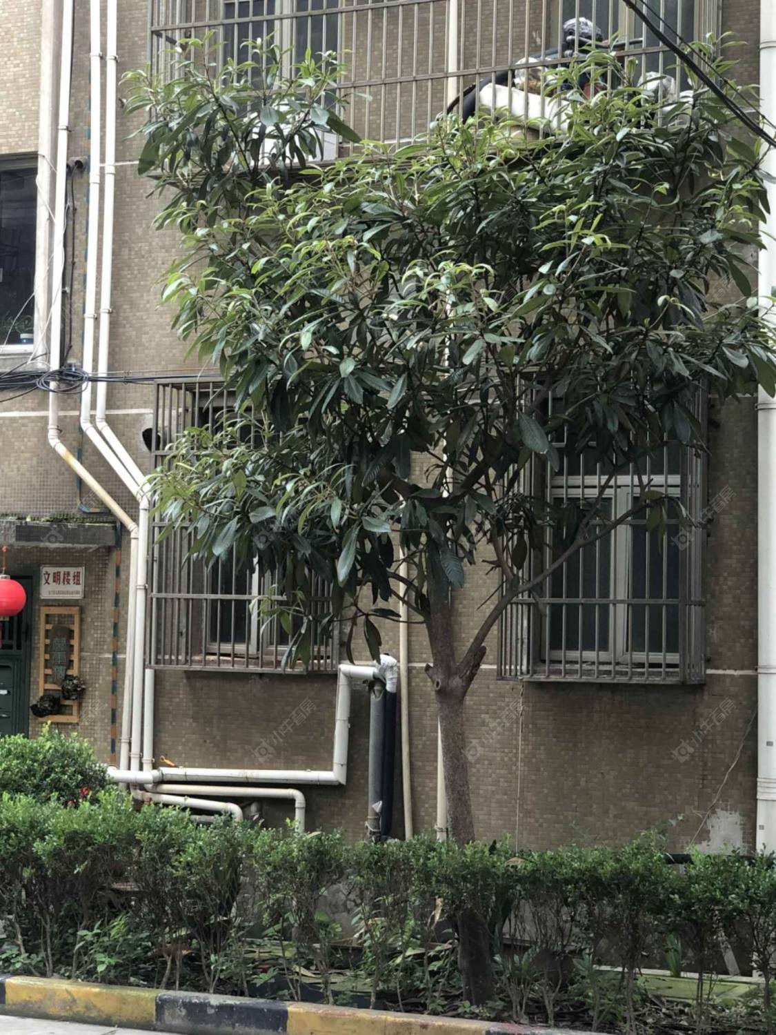 上海虹南公寓小区_虹南公寓小区null