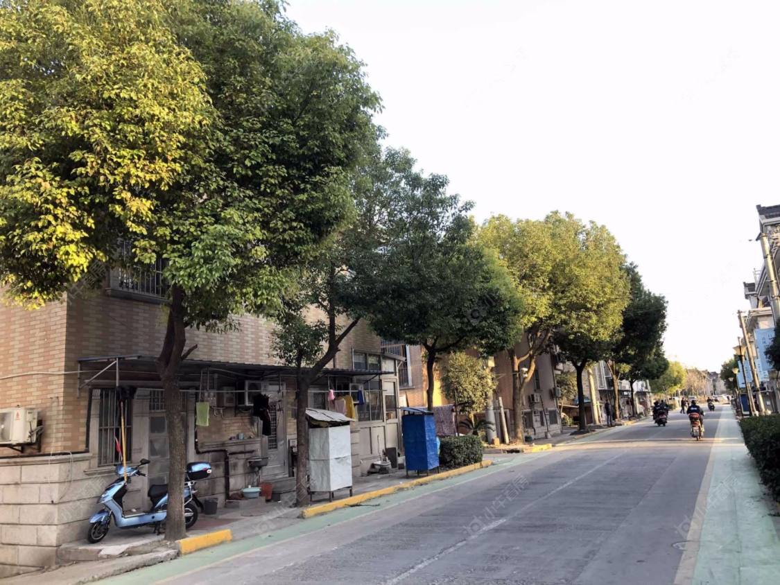 上海茵芳小区北区小区_茵芳小区北区小区null