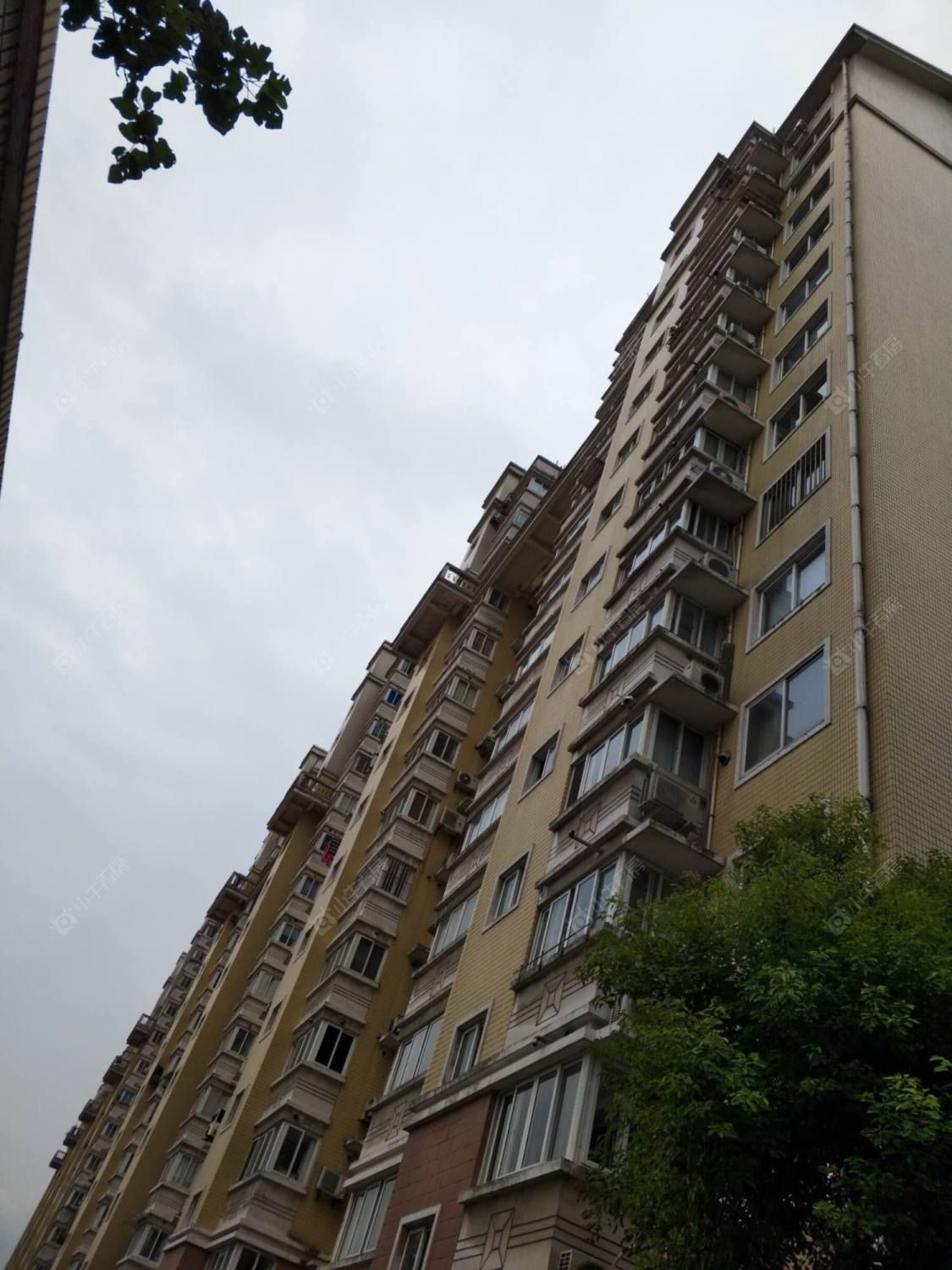 上海海叶新苑小区_海叶新苑小区null