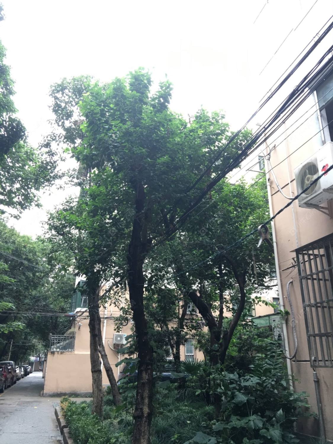 上海欧四小区小区_欧四小区小区null