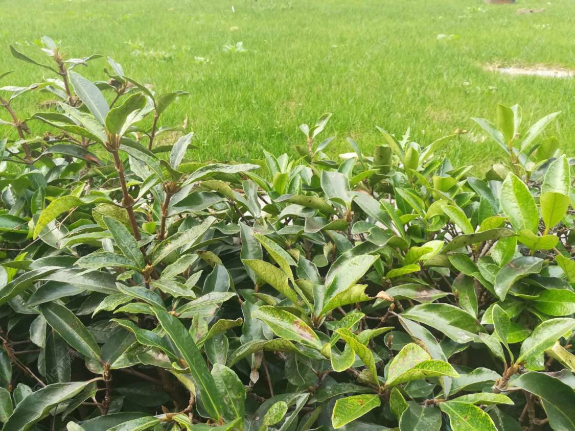 上海翠珠大厦小区_翠珠大厦小区null