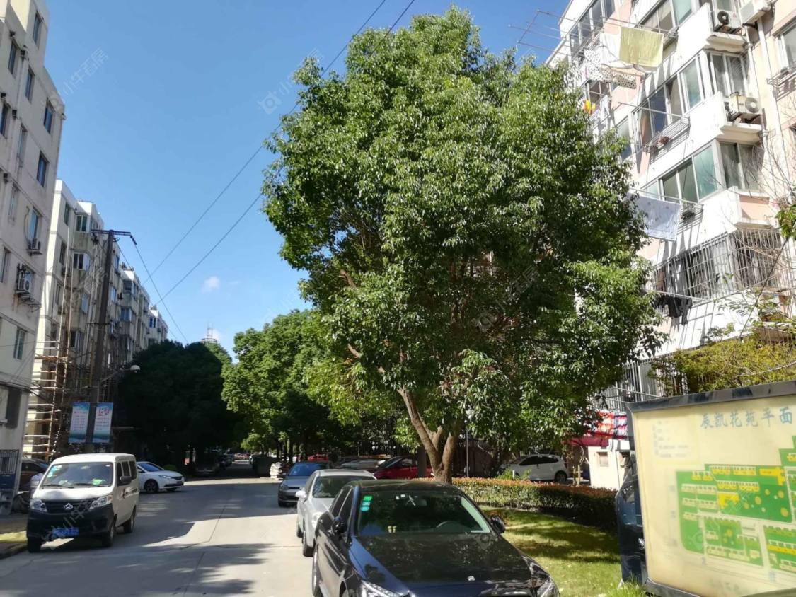 上海辰凯花苑小区_辰凯花苑小区null