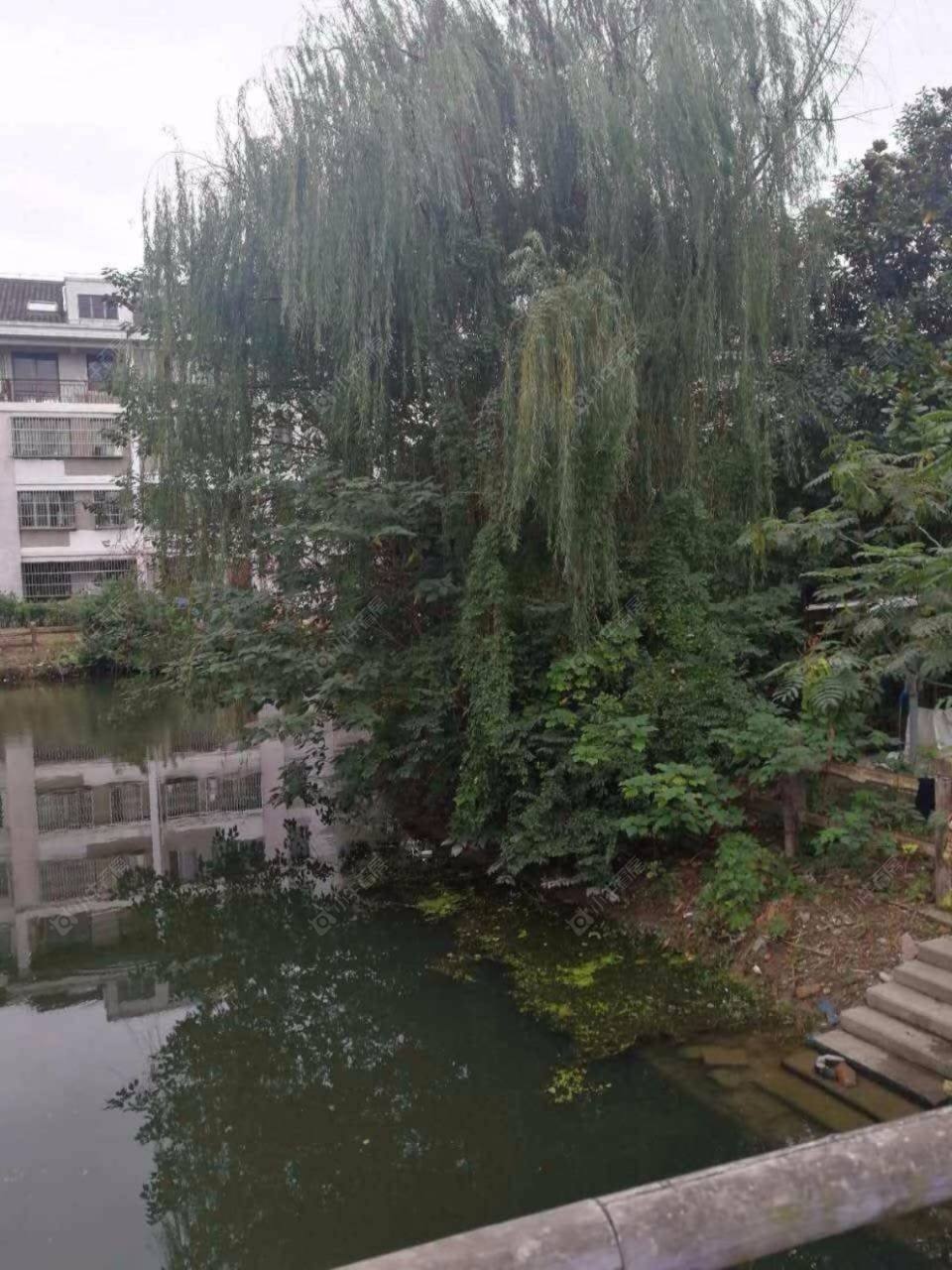 上海泰安公寓一期小区_泰安公寓一期小区null