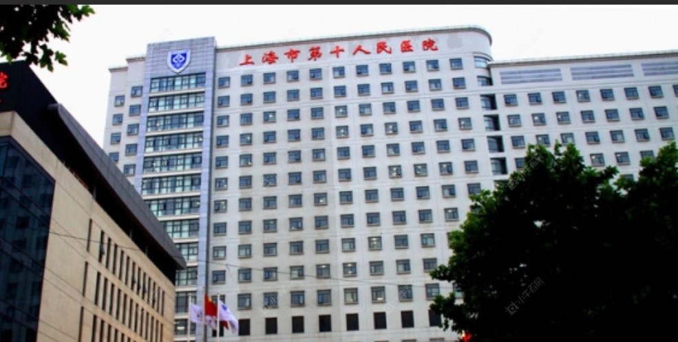 上海大华公园柏翠在售新楼盘null