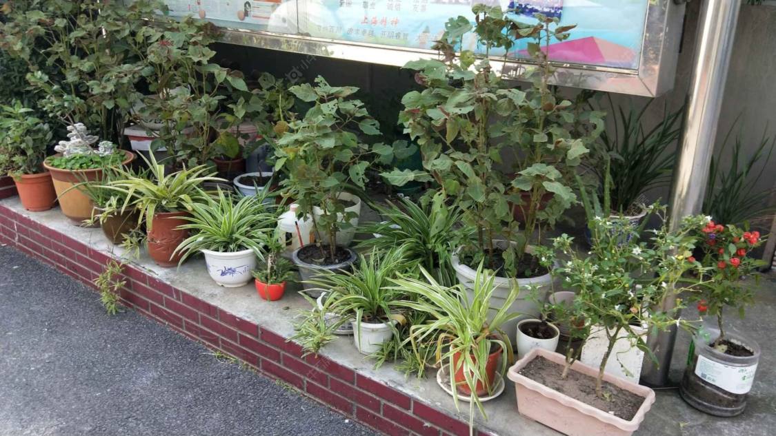 上海海浦小区小区_海浦小区小区null