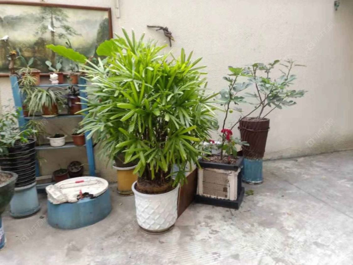 上海吴兴路24弄小区_吴兴路24弄小区null