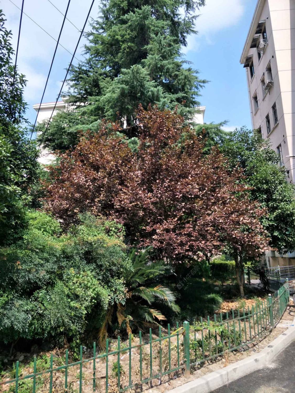 上海峨山路小区_峨山路小区null