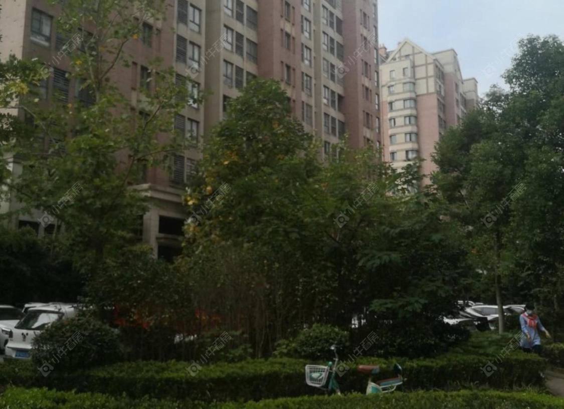 上海布鲁斯小镇二期小区_布鲁斯小镇二期小区null