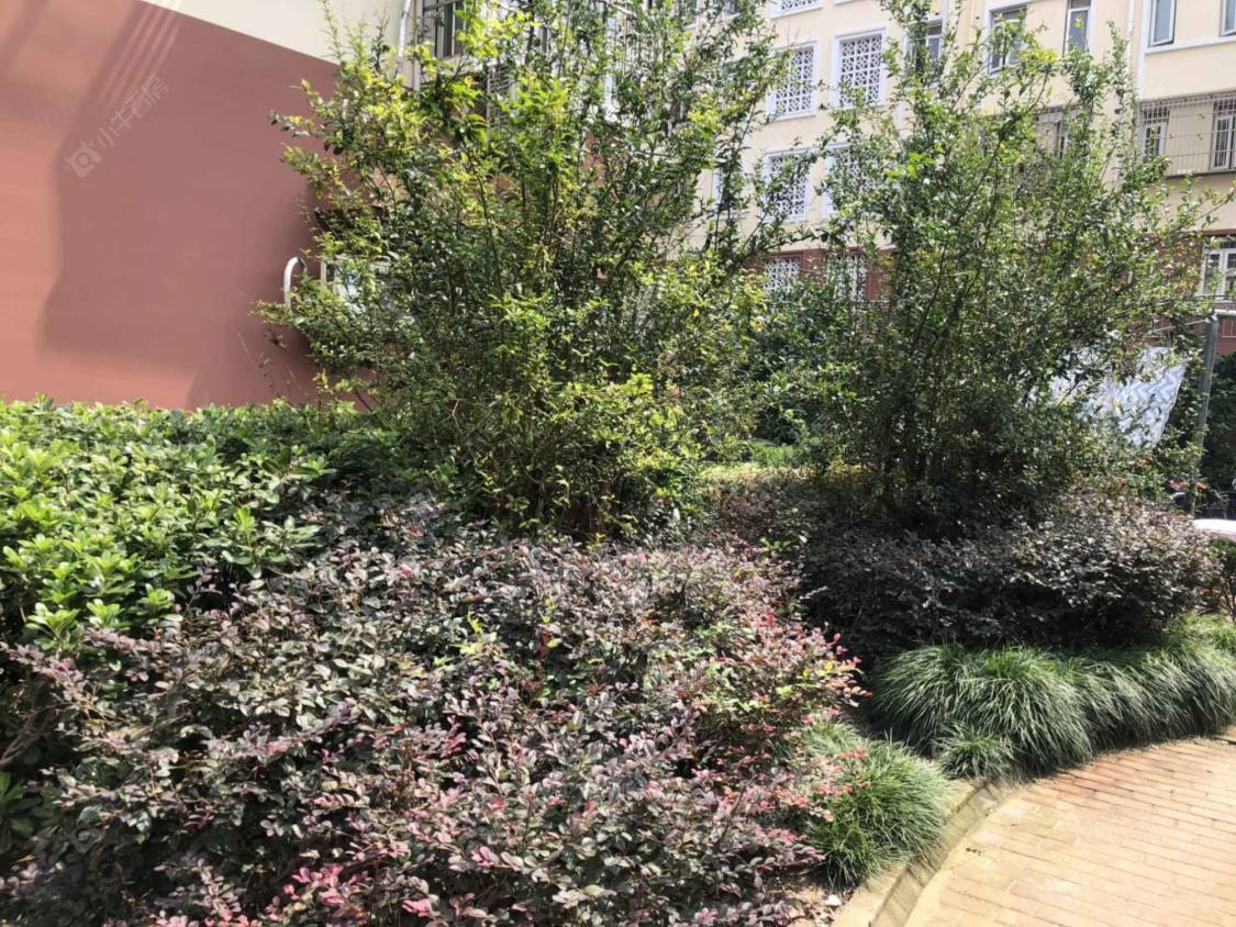 上海和新小区小区_和新小区小区null